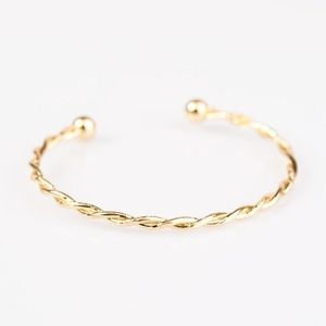 Paparazzi Twist and Shimmer Bracelet
